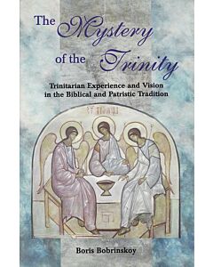 The Mystery of the Trinity: Trinitarian Experience and Vision in the Biblical and Patristic Tradition