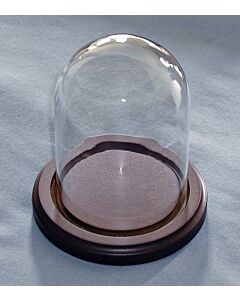 Egg display case