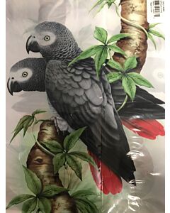 Reusable Bag-African Grey