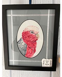 Watercolor Cockatoo