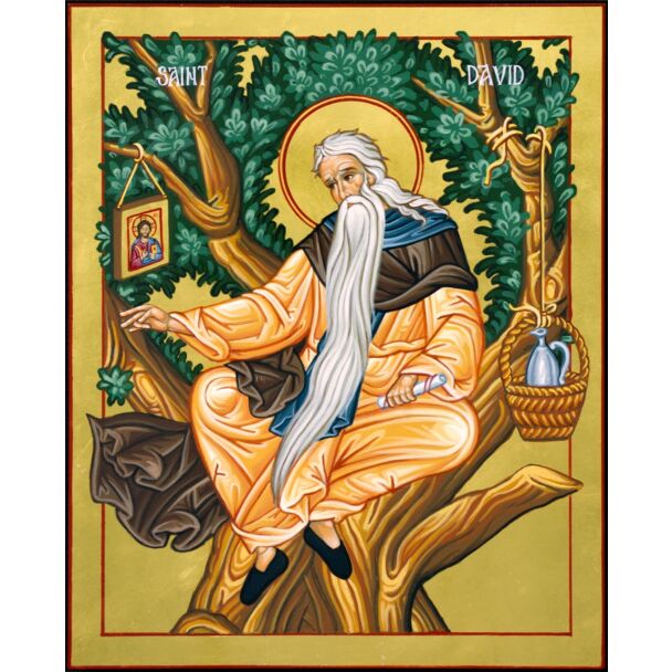 St. David of Thessalonica 